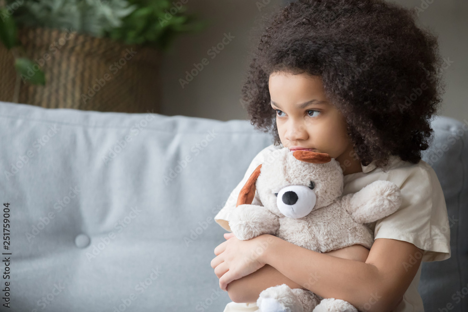 Traumastörungen/ Posttraumatische Belastungsstörung